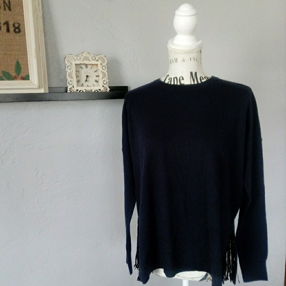 Autumn Cashmere crew with suede fringe slashes